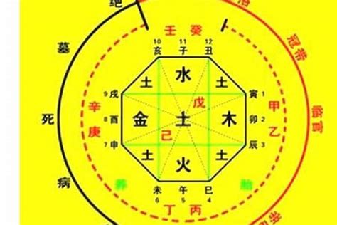 八字火旺的人|八字火旺是什么意思 (八字里火多意味着什么)